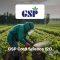 GSP Crop Science IPO - Samco