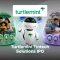 Turtlemint Fintech Solutions IPO