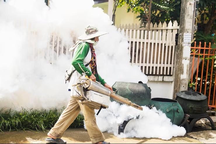Insecticides India Share Price Soars 8% on Strong Q4 Profit Growth