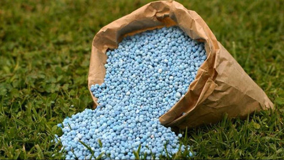 Fertiliser Stocks Slip: FACT, Coromandel Share Price Falls After China's Export Block