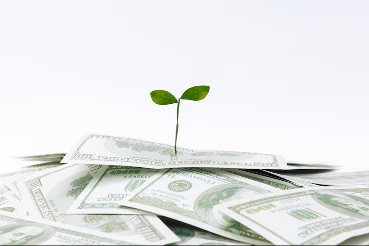 NELCO, Asian Paints, Tata Elxsi, Indian Bank & More: 5 Stocks Turning Ex-Dividend on 9th–10th June 2025