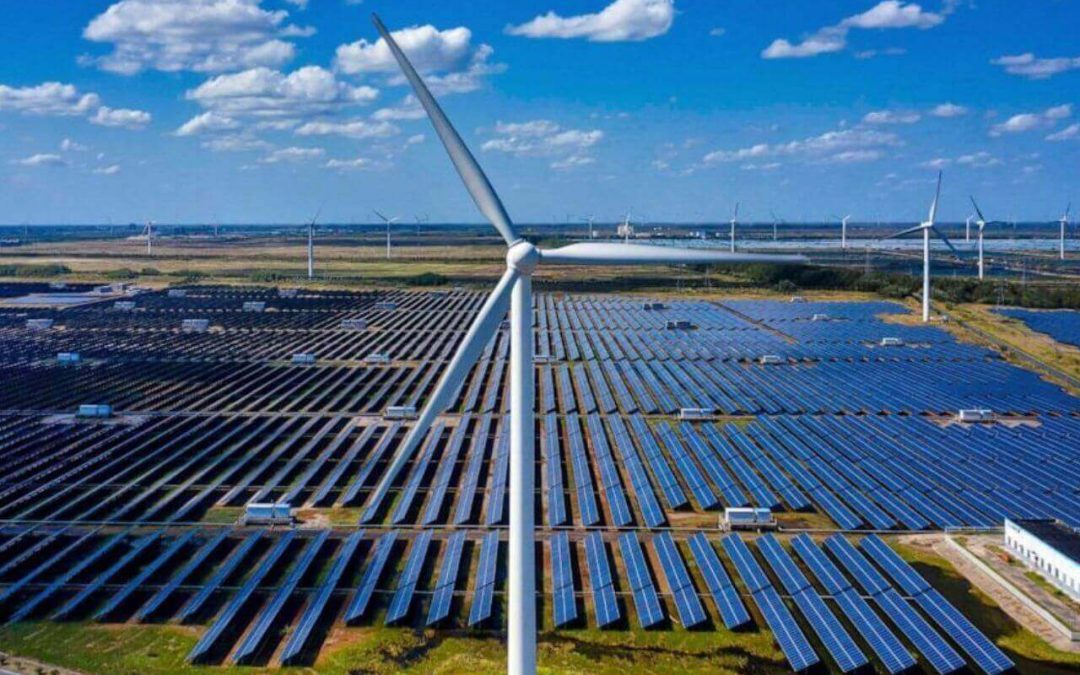 Borosil Renewables Share Price in Focus After German Subsidiary Declares Bankruptcy
