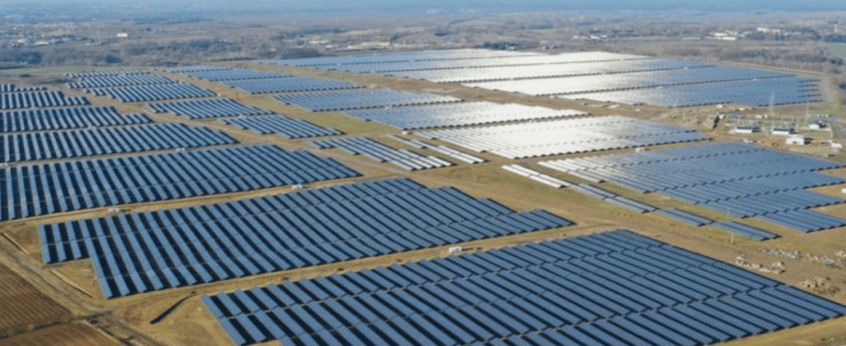 Waaree Renewable Technologies Share Price Rallies on Record Trading Volumes