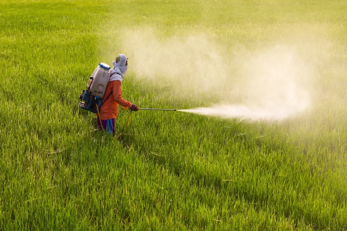 Fertiliser Shares Surge as China Moves to Lift Export Restrictions