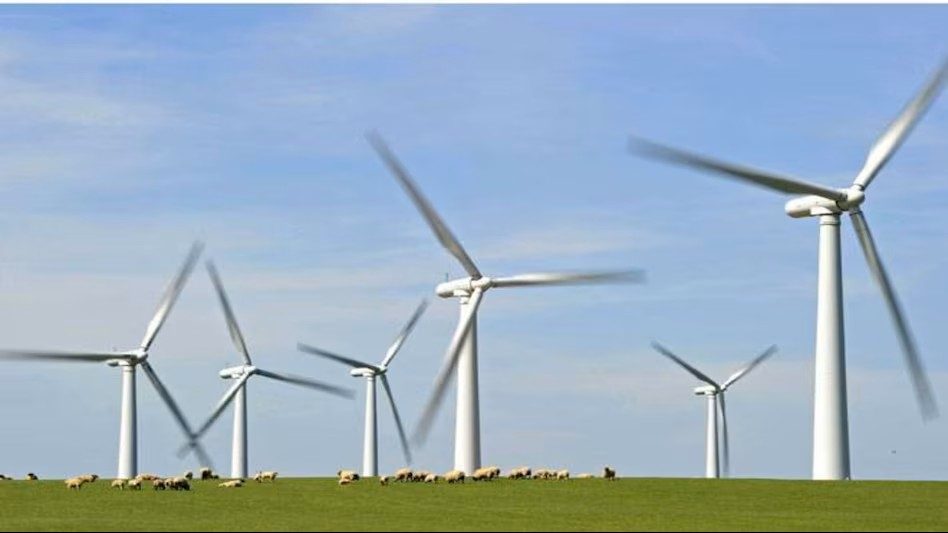 Suzlon Energy Share Price Rallies Over 6% Amid Multiple Positive Triggers