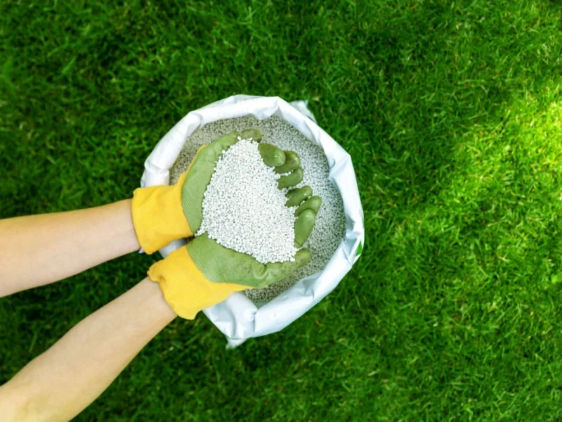 Fertiliser Stocks: Short‑Term Rally, Long‑Term Execution Will Decide the Winners