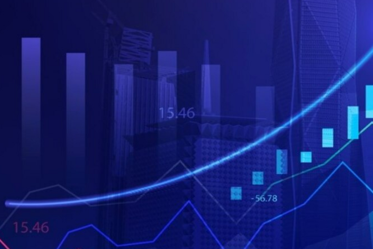 Nifty 50 Hits New All-Time High After 426 Days: Top Gainers, Losers & Sector Trends Revealed