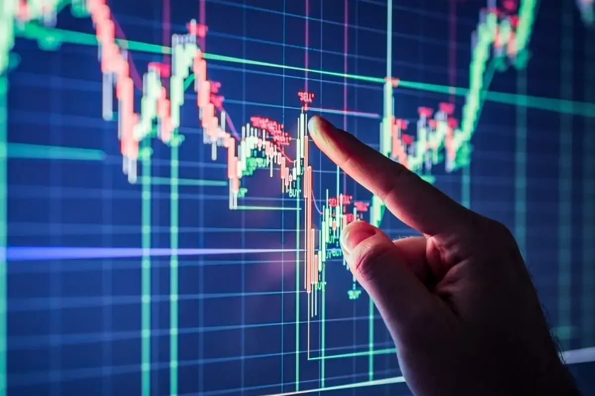 Nifty at All-Time High… But Most Portfolios Are Still Bleeding. Here’s Why